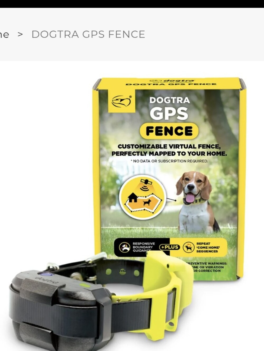 GPS Fence Dog Collar - Yellow